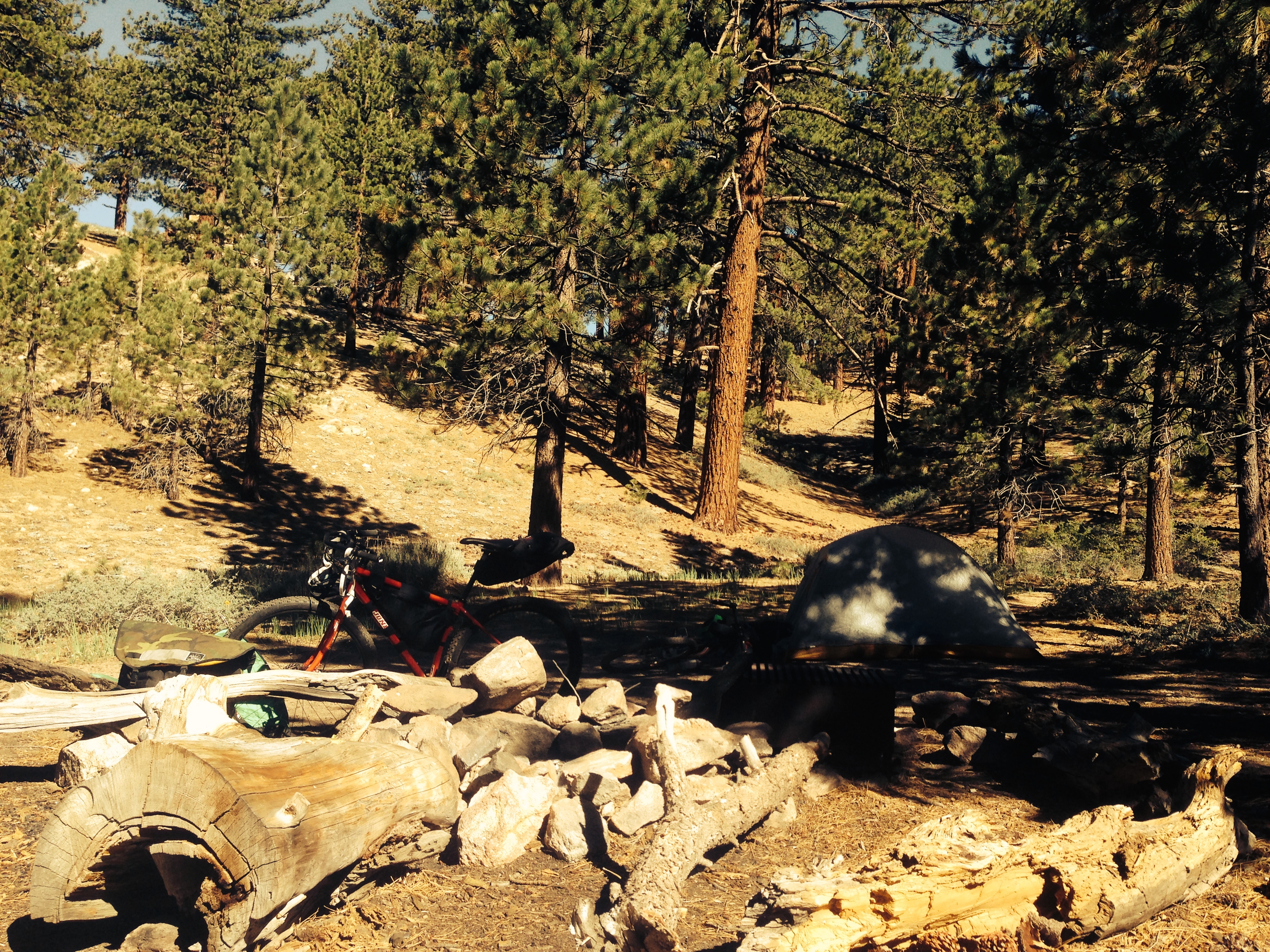 Mount Pinos Camping area