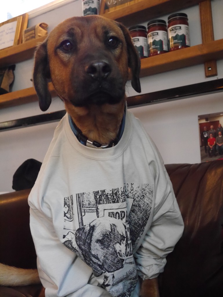 Rover with his Rover shirt.