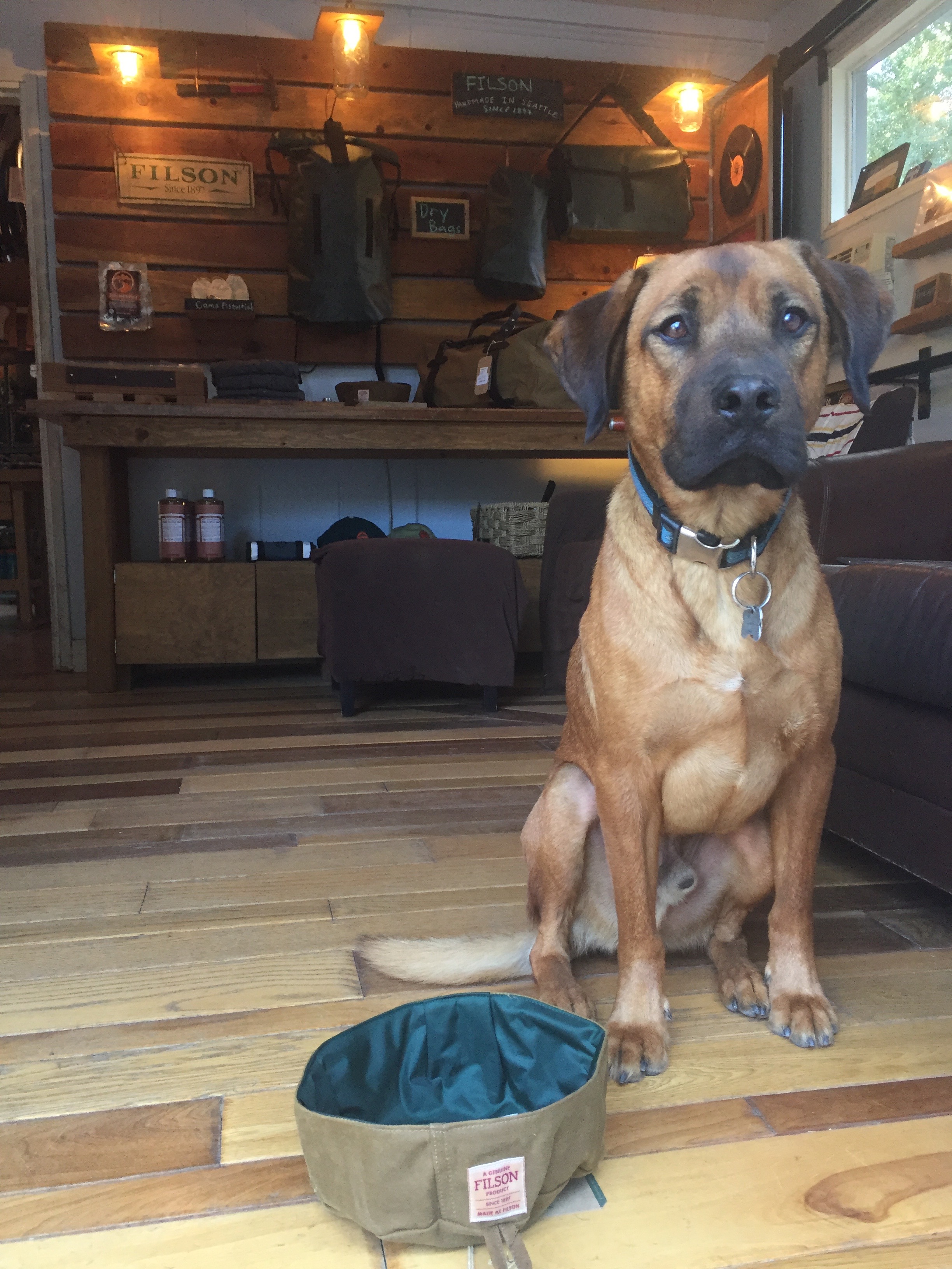Rover lives the Filson Life well. 